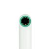 Cámara Bucal Dental Wifi Inalámbrica Zomy con 8 LEDS (a prueba de agua)