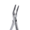 Alveolotomo gubia grande 6B 18 cm (143) - Imagen 2