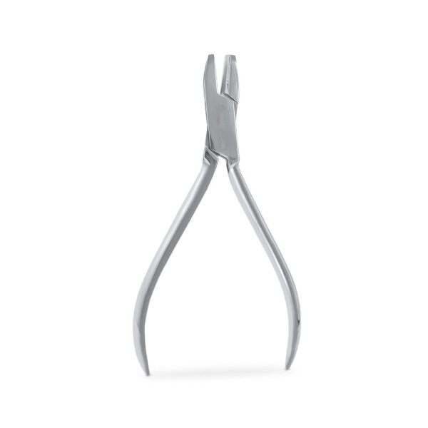 Pinza de la Rosa estándar N°1 6B (010)