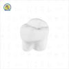 Juego de Macrodientes de Yeso Infantiles 7 piezas