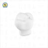 Juego de Macrodientes de Yeso Infantiles 7 piezas
