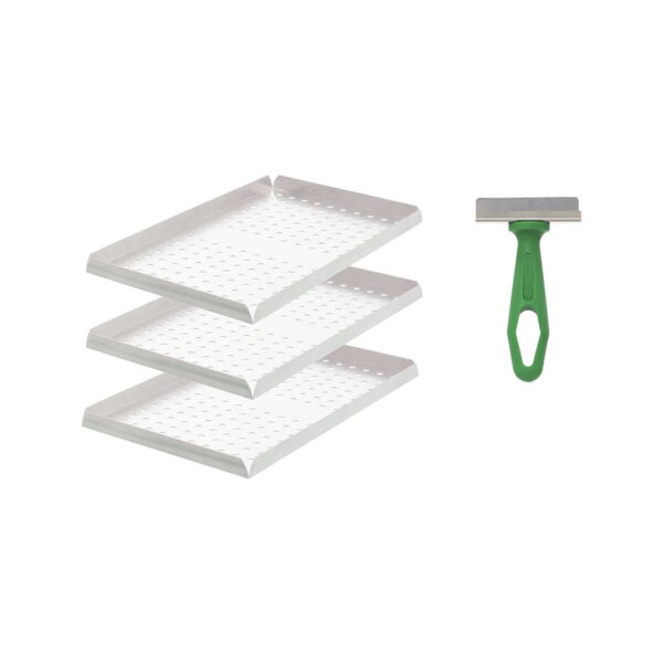 Esterilizador Electronico Calor Seco Lorma/M08 Para 30 fórceps - Imagen 3