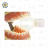 Lampara para exploración intraoral con abreboca autoclavable y porta eyector Zomy