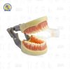Lampara para exploración intraoral con abreboca autoclavable y porta eyector Zomy