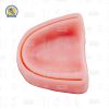Modelo Simulador De encia Para Practicas De Sutura Incisiones dentales Reutilizable Zomy