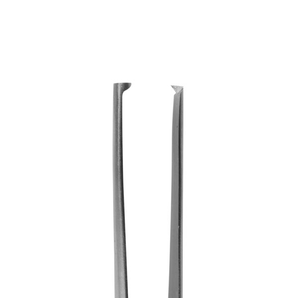 Pinza de Disección con Dientes 6B LM - Imagen 2