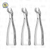 Fórceps Nevius Derecho para Molar 88R Superior Hu-Friedy