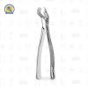 Fórceps Nevius Derecho para Molar 88R Superior Hu-Friedy