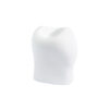 Macrodiente premolar superior adulto de yeso.