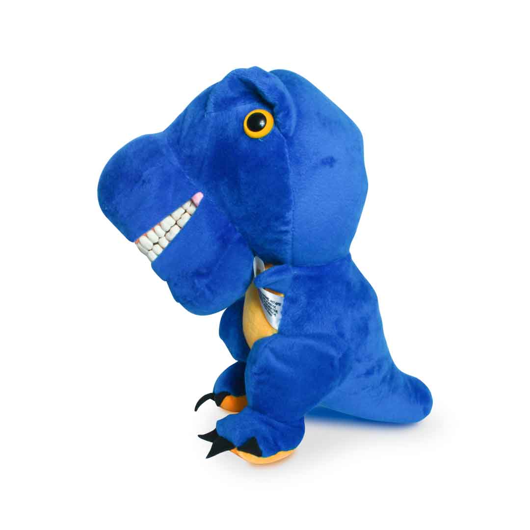 Peluche didáctico con tipodonto 25 cm varios modelos - Imagen 3
